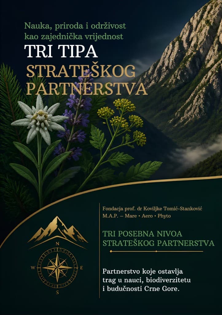 Tri tipa strateškog partnerstva — Fondacija Prof. dr Koviljka Tomić-Stanković